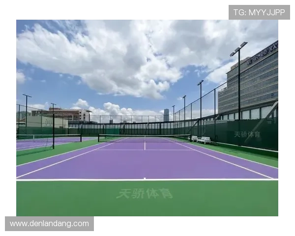 918博天堂体育多元化体育项目覆盖足球篮球网球等多种热门运动项目