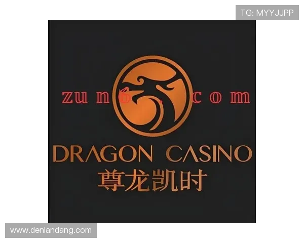 凯时尊龙网页登录提供安全稳定的游戏体验，助你轻松畅玩每一场精彩对决